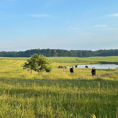 Projekt Stajnia - Nadmorski Osrodek Jazdy Konnej - Noclegi Łazy Exterior foto