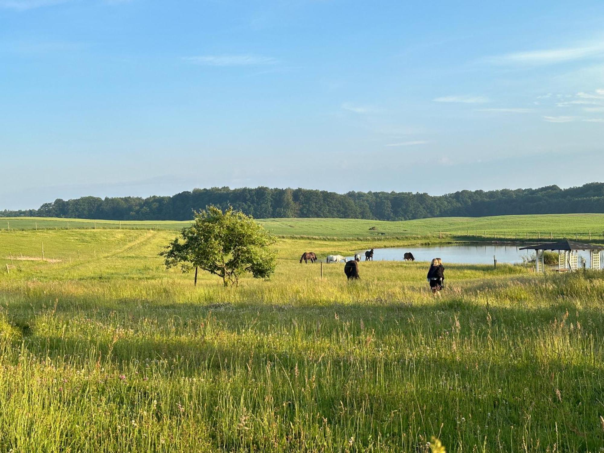 Projekt Stajnia - Nadmorski Osrodek Jazdy Konnej - Noclegi Łazy Exterior foto